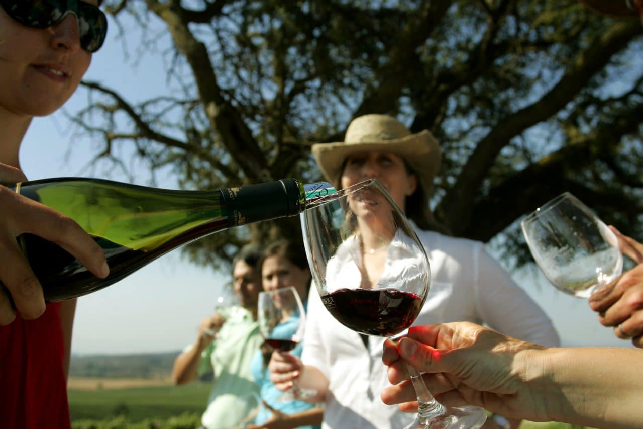 Si a Chile vino y se fue sin tomar Vino…a que Vino?