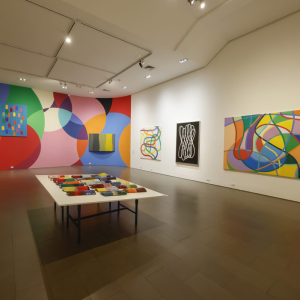 Autobiografía del color: circuitos y redes, de Graciela Hasper en Galería de Arte UC, Centro de Extensión UC, Santiago